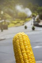 A yellow sweet corn cooked in boiling natural hot springs Furnas on the island of San Miguel, Portugal, Azores