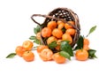 Yellow sweet isolated peeled and whole mandarin clementine tangerine Royalty Free Stock Photo