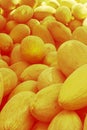 Yellow sweet melons. Cantaloupe melons for sale in organic farm. Toned image. Royalty Free Stock Photo