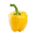 Yellow sweet pepper of blots