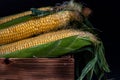Yellow sweet raw corn in a wooden box on a black background Royalty Free Stock Photo