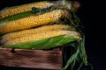 Yellow sweet raw corn in a wooden box on a black background Royalty Free Stock Photo