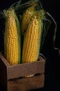 Yellow sweet raw corn in a wooden box on a black background close-up Royalty Free Stock Photo