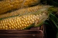 Yellow sweet raw corn in a wooden box on a black background Royalty Free Stock Photo