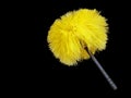 Yellow synthetic feather duster over black