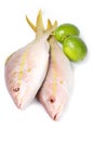 Yellow Tail Snappers and Limes