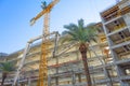 Yellow tall crane, concrete frame of tall apartment building under construction in a city, palm tree nearby