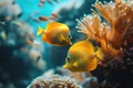 Yellow tang fish on coral reef Royalty Free Stock Photo