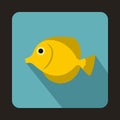 Yellow Tang fish, Zebrasoma flavescens icon