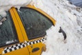 Yellow taxi car covered in big pile of snow Royalty Free Stock Photo