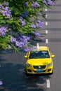 Yellow taxi  and Purple jacaranda tree blooming in Sping sunny day Royalty Free Stock Photo