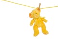 Yellow teddy bear on clothes line Royalty Free Stock Photo