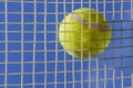 A yellow tennis ball resting on the strings of a tennis racket viewed from below against the blue sky Royalty Free Stock Photo