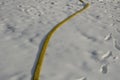 Yellow textile fire hose. it is used by ski owners to connect water to snow cannons and turbines with nozzles for the production o