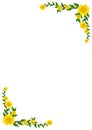 Yellow texture Blossom Flowers with green leaf on white background decorated frame with vine background texture with space vector Royalty Free Stock Photo