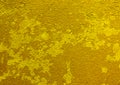 Yellow textured background wallpaper for designs Royalty Free Stock Photo