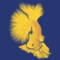 Yellow Thai Fighting Fish Art