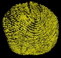 Yellow thumbprint on black background. Dactylography Royalty Free Stock Photo