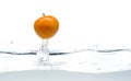 Yellow tomato fall in water. Photo in action. Drops of water. Isolated white background