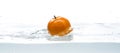 Yellow tomato fall in water. Photo in action. Drops of water. Isolated white background