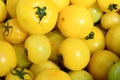 Yellow tomato Royalty Free Stock Photo