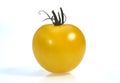Yellow Tomatoe, solanum lycopersicum against White Background