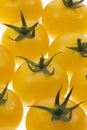 Yellow tomatoes Royalty Free Stock Photo