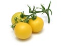 Yellow tomatoes