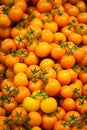 Yellow Tomatoes Royalty Free Stock Photo