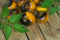 Yellow tomatoes Alices Dream  on an old wooden table Royalty Free Stock Photo