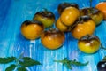 Yellow tomatoes Beauty King on an old wooden table Royalty Free Stock Photo