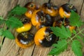 Yellow tomatoes  beefsteak on an old wooden table Royalty Free Stock Photo