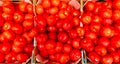 Yellow tomatoes in a box on a shelf in a supermarket. Yellow and red tomatoes with tails in a plastic container top view Royalty Free Stock Photo