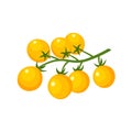 Yellow tomatoes cherry. Royalty Free Stock Photo