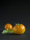 Yellow tomatoes on a dark black background