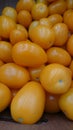 Yellow tomatoes on the grocery store counter Royalty Free Stock Photo