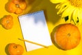 Yellow tomatoes, pumpkin, empty white notepad and yellow flower of sunflower on yellow with shadow and copy space Royalty Free Stock Photo