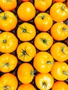 Yellow tomatoes in a shipping box. Royalty Free Stock Photo