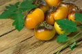 Yellow tomatoes Siberian tiger  on an old wooden table Royalty Free Stock Photo