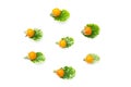 Yellow tomatos and green leave  isolated on a white background Royalty Free Stock Photo