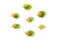 Yellow tomatos and green leave isolated on a white background