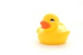 Yellow toy duck Royalty Free Stock Photo