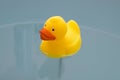 Yellow toy duck in bath with Royalty Free Stock Photo