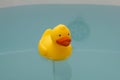 Yellow toy duck in bath with Royalty Free Stock Photo