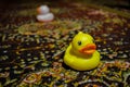 Yellow toy duck on an old carpet Royalty Free Stock Photo