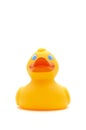 Yellow toy duck on white background Royalty Free Stock Photo