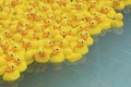 Yellow toy duck Royalty Free Stock Photo