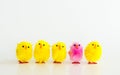 4 yellow toy Easter chicks and 1 pink chick in a row Royalty Free Stock Photo