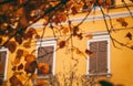 Yellow traditional Italian building framed by yellow leaves. Urban autumn european background