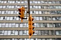 Yellow traffic lights Toronto downtown Royalty Free Stock Photo